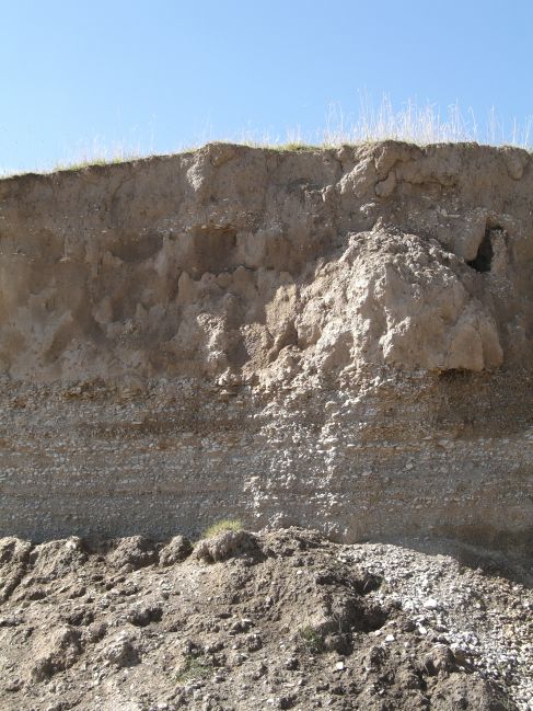  2006:09:13 22:59:51   BeachRidgeS -bedded  imbricated beach gravels - photo 2.jpg